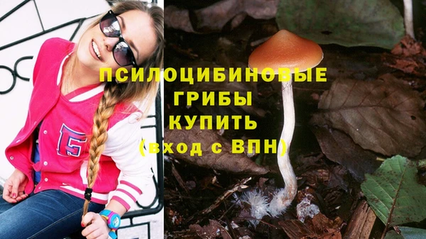 альфа пвп Вяземский