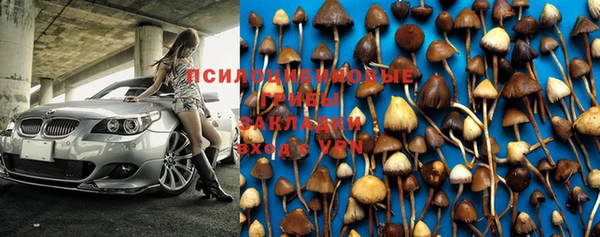 прущая мука Вязьма