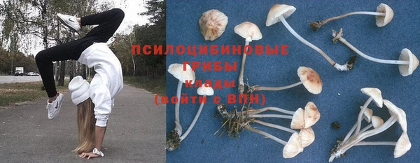 альфа пвп Вяземский