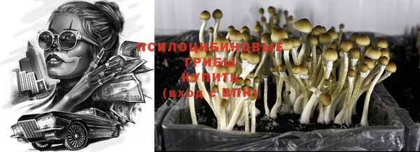 МДПВ Вязники