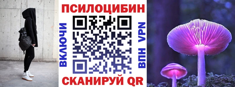 Галлюциногенные грибы Psilocybe blacksprut маркетплейс Власиха где продают наркотики